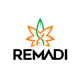 REMADI logo