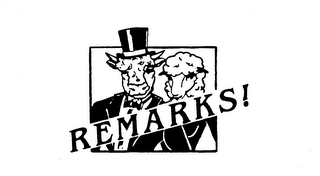 REMARKS! logo