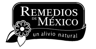 REMEDIOS DE MEXICO UN ALIVIO NATURAL logo