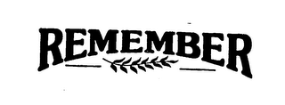 REMEMBER logo