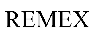 REMEX logo