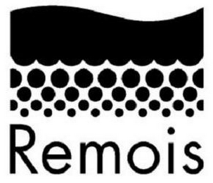 REMOIS logo