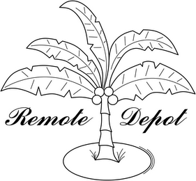 REMOTE DEPOT logo