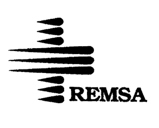 REMSA logo