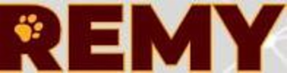 REMY logo