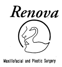 RENOVA MAXILLOFACIAL AND PLASTIC SURGERY logo