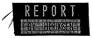 REPORT BY HERIKSEN logo