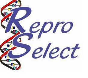 REPRO SELECT logo