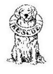 RESCUE logo