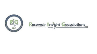 RESERVOIR INSIGHT GEOSOLUTIONS LLC RIG logo