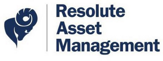 RESOLUTE ASSET MANAGEMENT logo