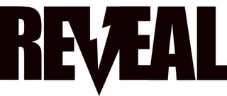 REVEAL logo