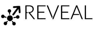 REVEAL logo