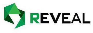 REVEAL logo