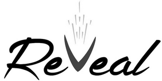 REVEAL logo