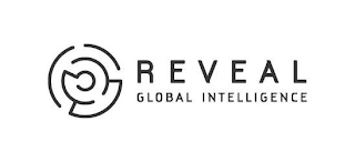 REVEAL GLOBAL INTELLIGENCE logo