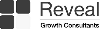 REVEAL GROWTH CONSULTANTS logo