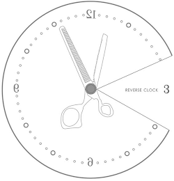 REVERSE CLOCK logo