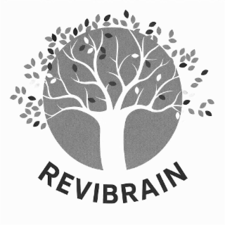 REVIBRAIN logo