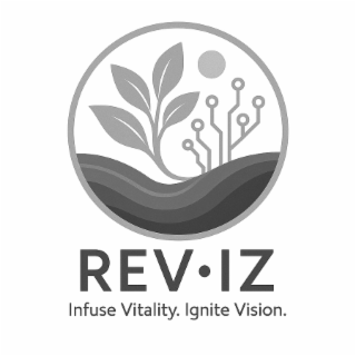RE·VIZ INFUSE VITALITY. IGNITE VISION. logo