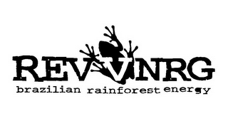 REVVNRG BRAZILIAN RAINFOREST ENERGY logo