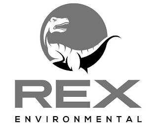 REX ENVIRONMENTAL logo