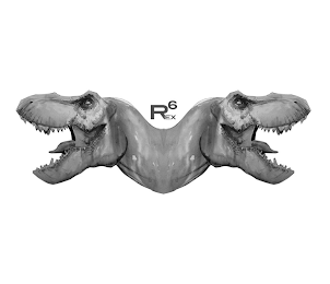 REX6 logo