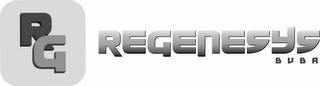 RG REGENESYS BVBA logo