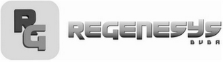 RG REGENESYS BVBA logo