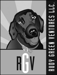 RGV RUDY GREEN VENTURES LLC. logo
