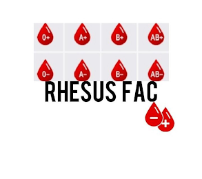 RHESUS FAC O+ O- A- A+ B- B+ AB- AB+ - + logo