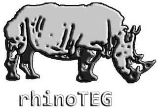RHINOTEG logo
