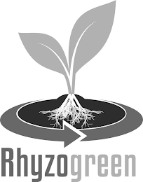 RHYZOGREEN logo
