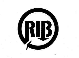 RIB logo
