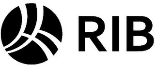 RIB logo