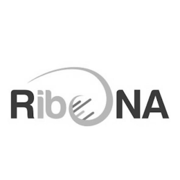 RIBONA logo