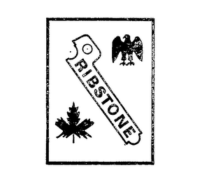 RIBSTONE logo