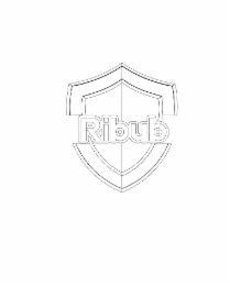 RIBUB logo
