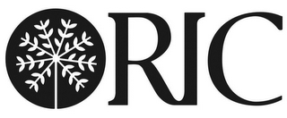 RIC logo