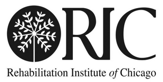 RIC REHABILITATION INSTITUTE OF CHICAGO logo