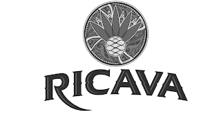 RICAVA logo