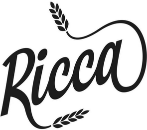 RICCA logo