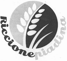 RICCIONEPIADINA logo