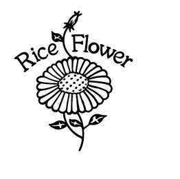 RICE FLOWER