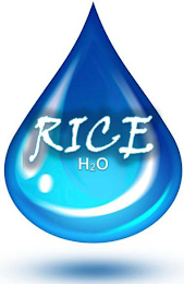 RICE H2O logo