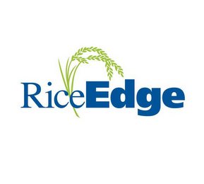 RICEEDGE logo