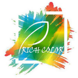 RICH COLOR logo