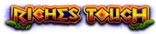 RICHES TOUCH logo