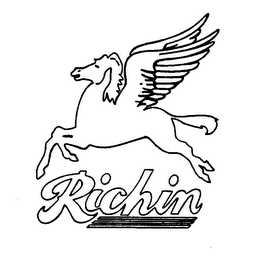 RICHIN logo