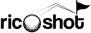 RICOSHOT logo